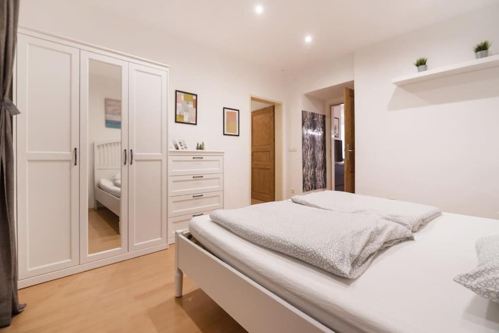 Spacious Central Apartment Βιέννη Εξωτερικό φωτογραφία